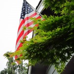 Flag Day