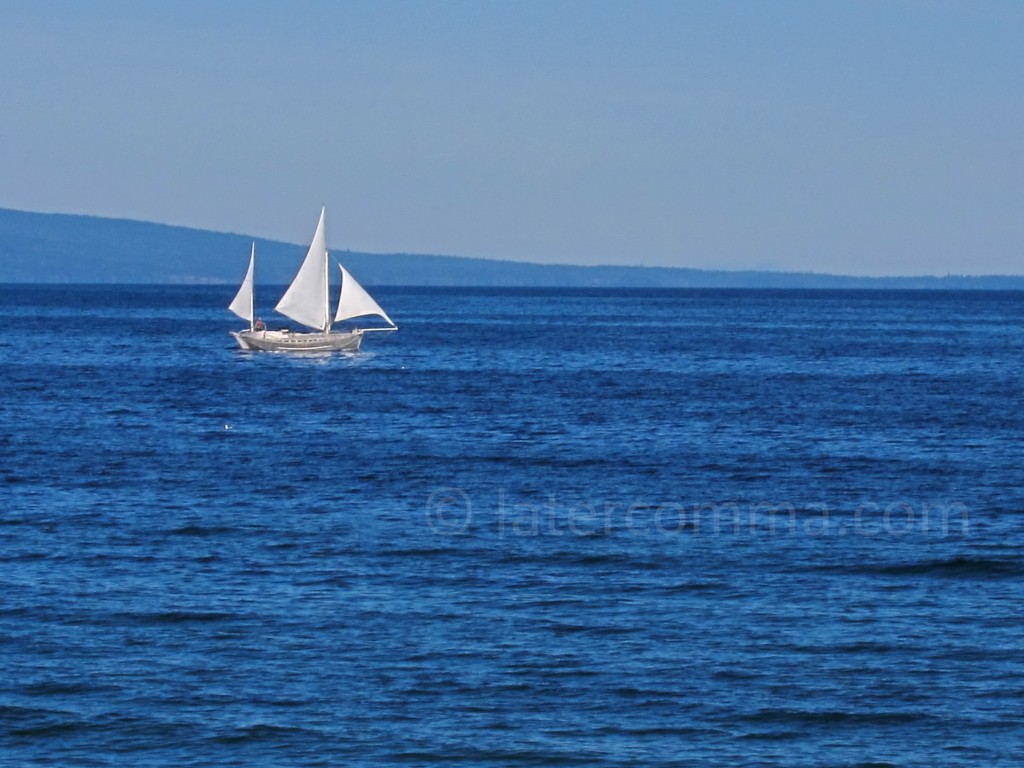 sailboat in the morning