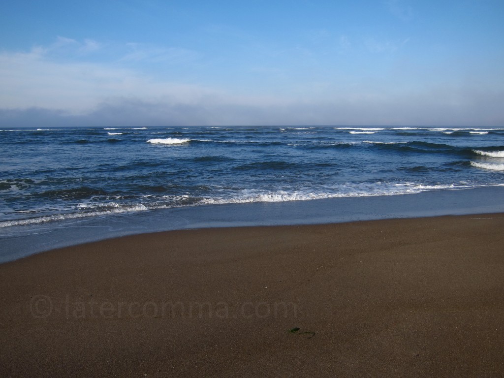 beach and surf
